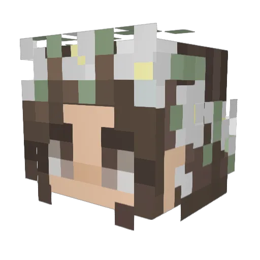 Stella_Bella05 Minecraft avatar head, 3D render
