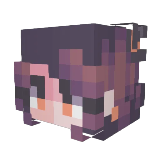Stellai1686 Minecraft avatar head, 3D render
