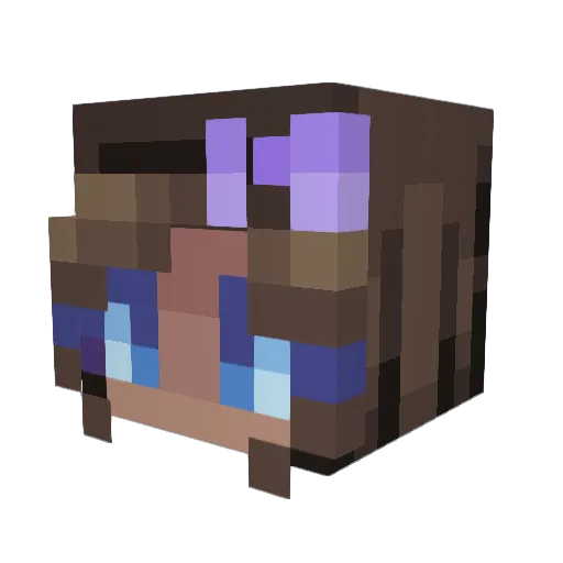 Stellar321 Minecraft avatar head, 3D render