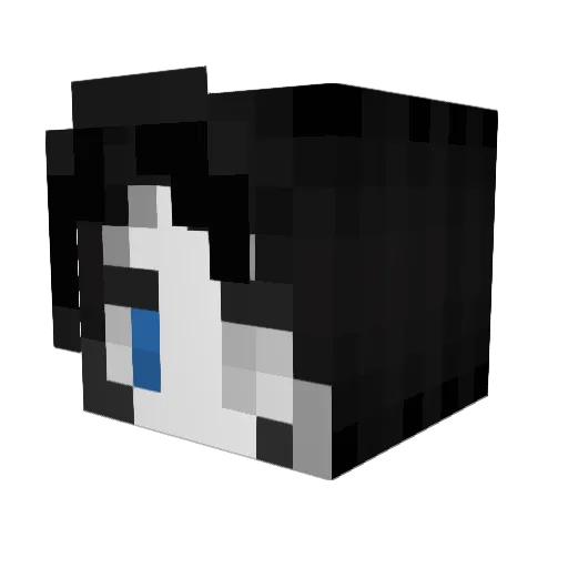 StellarBadger Minecraft avatar head, 3D render