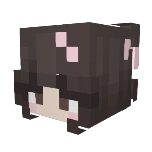 StellarBliss Minecraft avatar head, 3D render