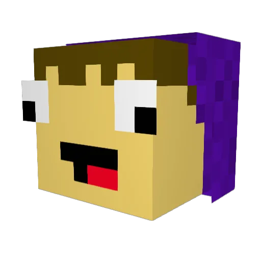 StellarDav Minecraft avatar head, 3D render