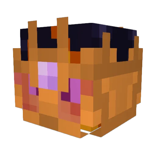 StellarEngine565 Minecraft avatar head, 3D render