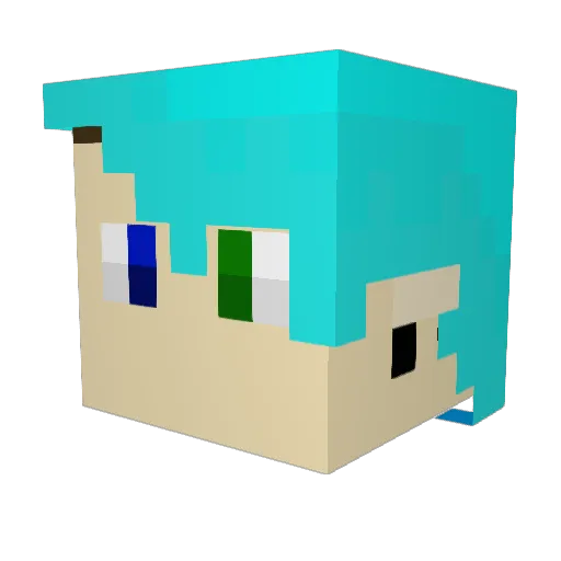 StellarFox_ Minecraft avatar head, 3D render