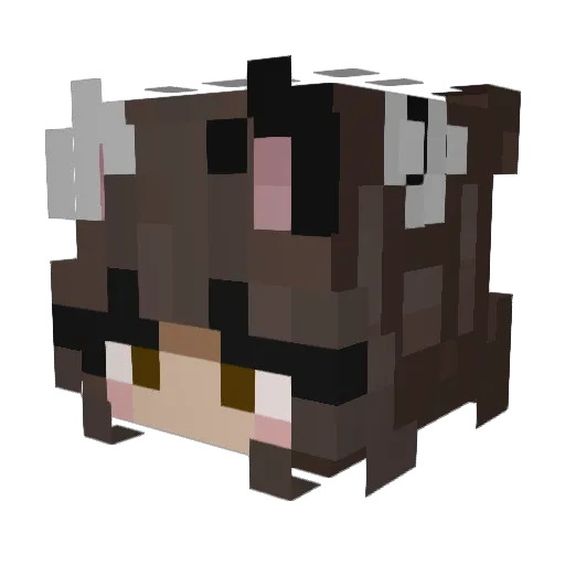 StellarFoxy Minecraft avatar head, 3D render