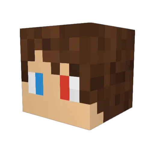 StellarKake Minecraft avatar head, 3D render