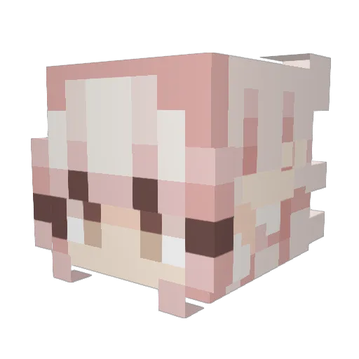 StellarMeji Minecraft avatar head, 3D render