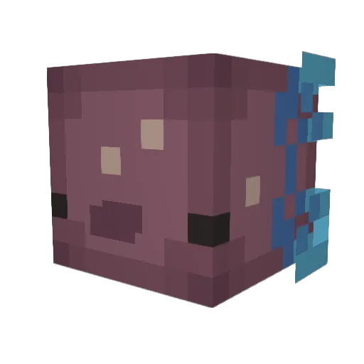 StellarOrion_ Minecraft avatar head, 3D render