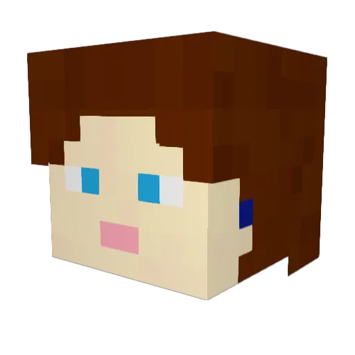 StellarRemnants Minecraft avatar head, 3D render