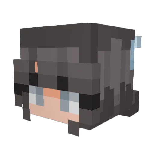 StellarSkylark Minecraft avatar head, 3D render