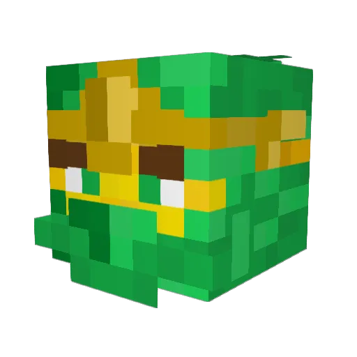 StellarTaka Minecraft avatar head, 3D render