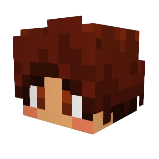 StellarThorn Minecraft avatar head, 3D render