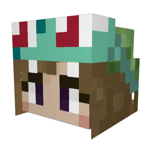 Stellar_Stars Minecraft avatar head, 3D render