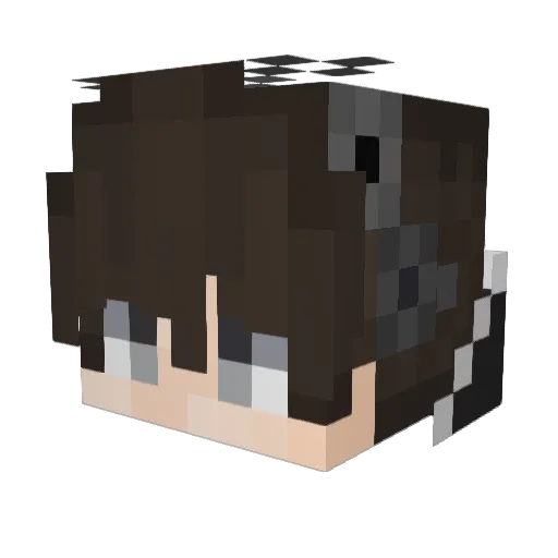 Stellarix Minecraft avatar head, 3D render