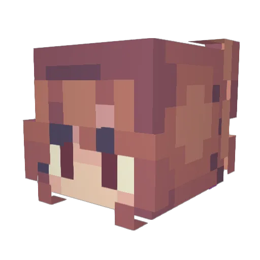 Stellarkaye Minecraft avatar head, 3D render