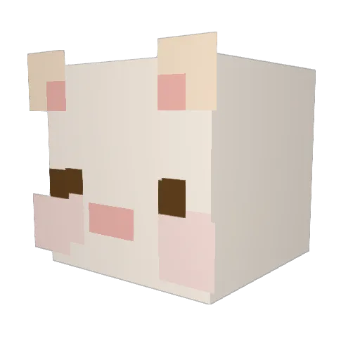 Stellarnova_o Minecraft avatar head, 3D render