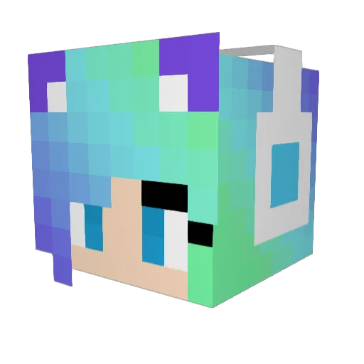 Stellarsong Minecraft avatar head, 3D render