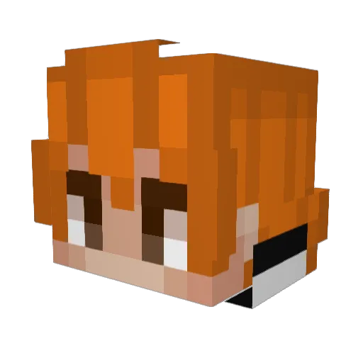 Stellarxx Minecraft avatar head, 3D render