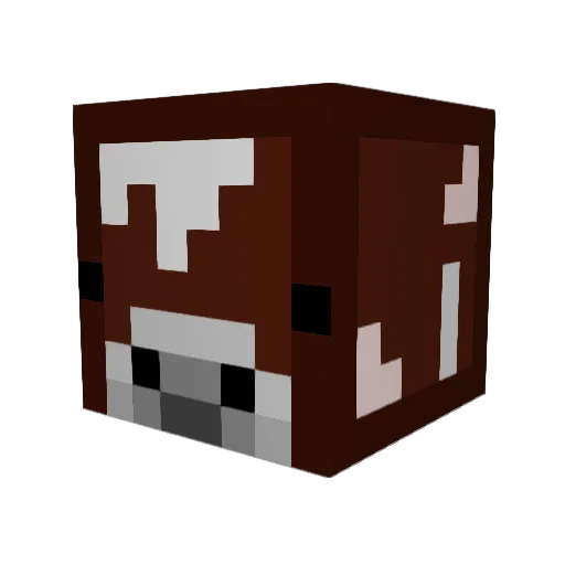Steller21 Minecraft avatar head, 3D render