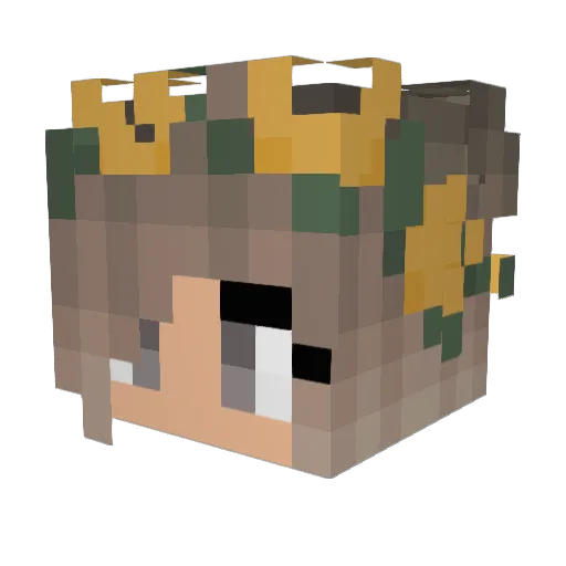 Stelliah Minecraft avatar head, 3D render