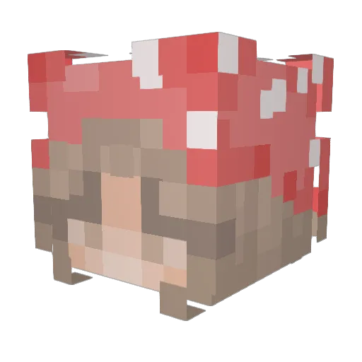 Stellish_ Minecraft avatar head, 3D render