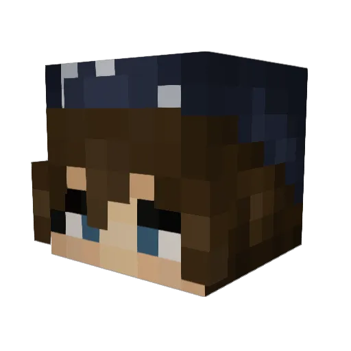Stellllllll Minecraft avatar head, 3D render
