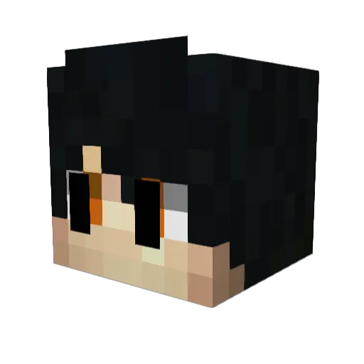 StelthMocha Minecraft avatar head, 3D render