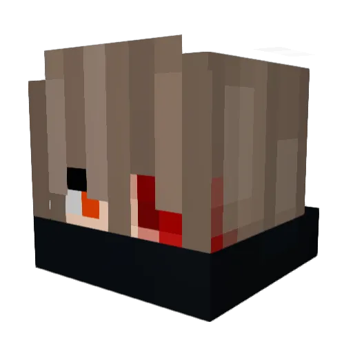 StemOverslagen Minecraft avatar head, 3D render
