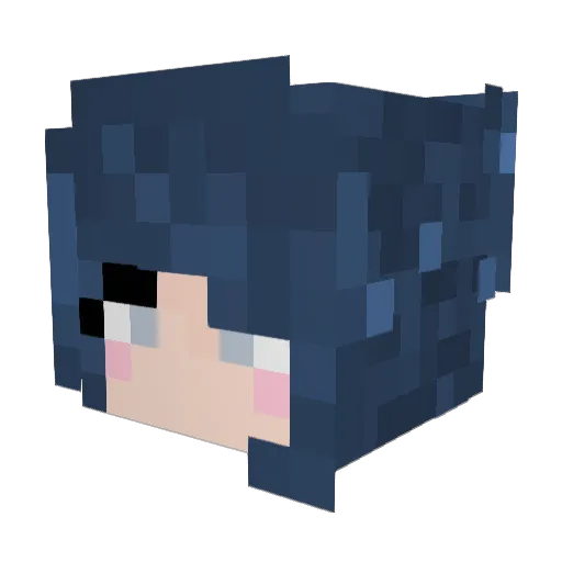 Stenbakk Minecraft avatar head, 3D render