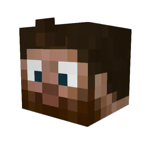StenchBag Minecraft avatar head, 3D render