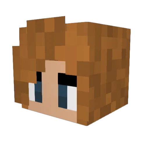 Stenf0rss Minecraft avatar head, 3D render