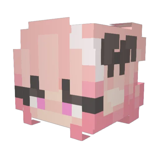 Steniodaskun Minecraft avatar head, 3D render