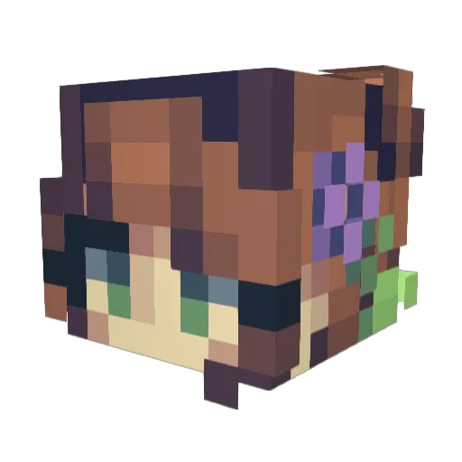 Stenzi02 Minecraft avatar head, 3D render