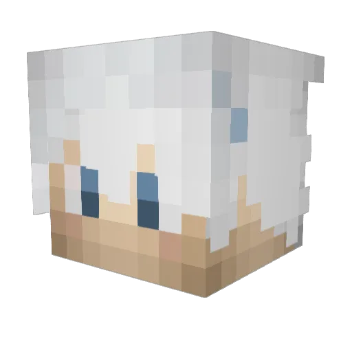 Steora_ Minecraft avatar head, 3D render