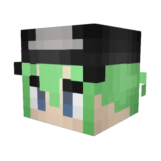 StepBroFreaks Minecraft avatar head, 3D render