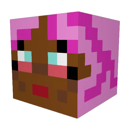 StepMom123 Minecraft avatar head, 3D render
