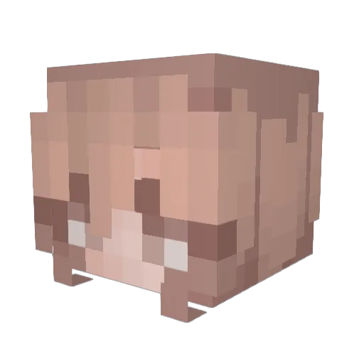 StepSisWantsU Minecraft avatar head, 3D render
