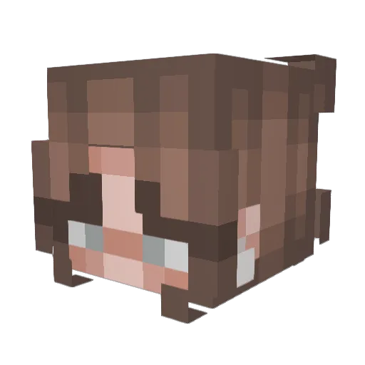 StepSister6918 Minecraft avatar head, 3D render