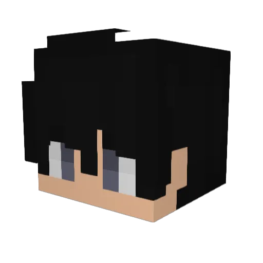 StepTortuga Minecraft avatar head, 3D render