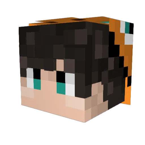 Step_Water Minecraft avatar head, 3D render