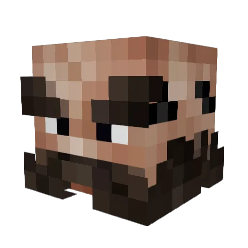 StepanDC Minecraft avatar head, 3D render