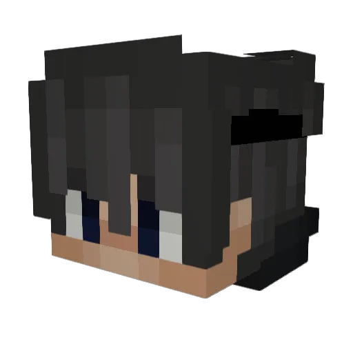Stepbrohypno Minecraft avatar head, 3D render