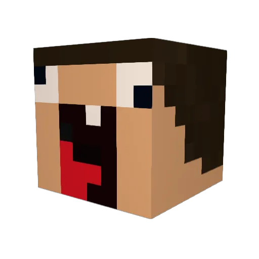 Steph78 Minecraft avatar head, 3D render