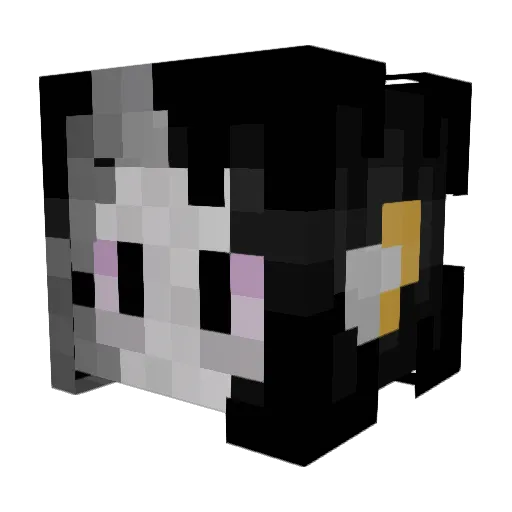 StephJ2Fan Minecraft avatar head, 3D render