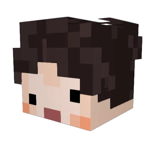 StephanFelix Minecraft avatar head, 3D render