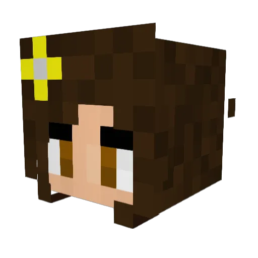 Stephanie2334 Minecraft avatar head, 3D render