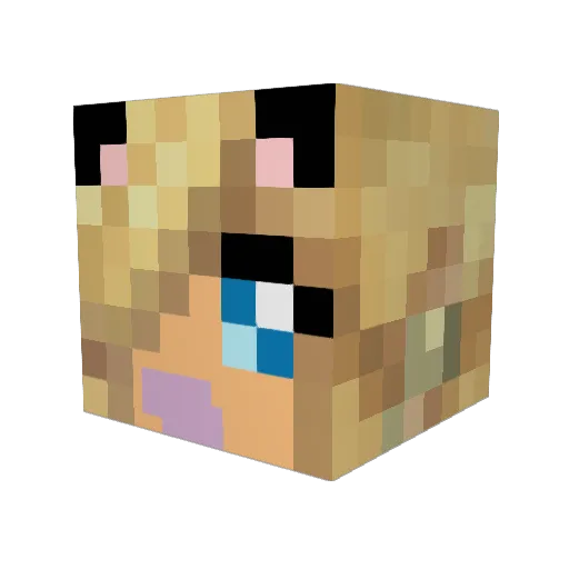 StephanieHansen Minecraft avatar head, 3D render