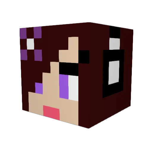 Stephbnj Minecraft avatar head, 3D render
