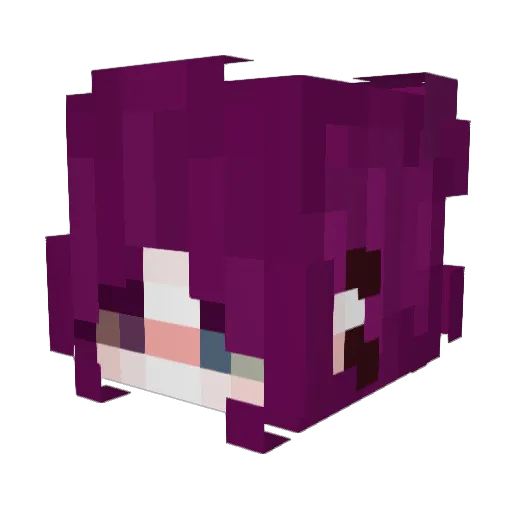 Stephbr0 Minecraft avatar head, 3D render