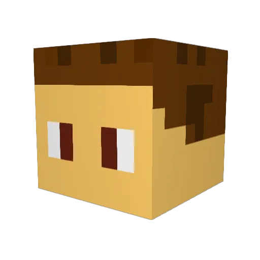 StepheN_Curryk Minecraft avatar head, 3D render